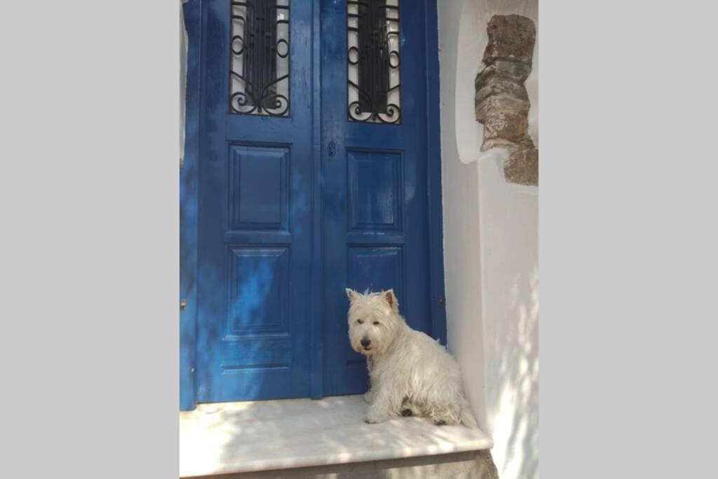 Vila Blue & White: An Absolute Aegean Dream House Galini  Exteriér fotografie